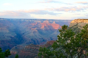 Fototapeta na wymiar Sunset at grand canyon with trees