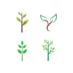  green leaf illustration