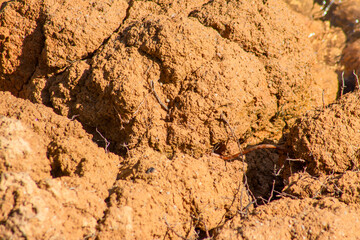 Natural yellow stone background with texture