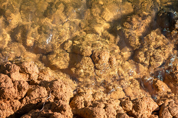 Texture of clay and earth with water.