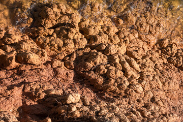 Texture of clay and earth with water.