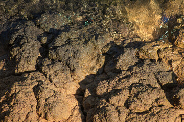 Texture of clay and earth with water.