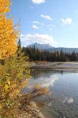 Fototapeta na wymiar Majestic Autumn On The Land, Jasper National Park, Alberta
