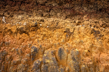 Natural yellow stone background with texture