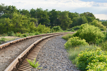 Obraz premium Railroad turns among the green trees in the summer