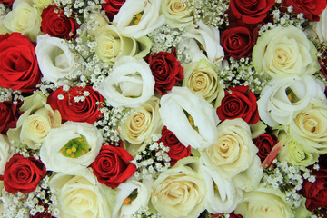Red and white roses in a bridal bouquet