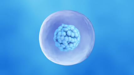 Human Stem Cell. 3D Rendering