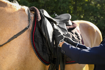 Young woman in horse riding suit and her beautiful pet outdoors on sunny day, closeup