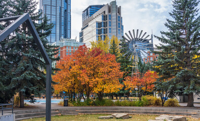 Fototapeta na wymiar Prince's Island Park autumn foliage scenery in downtown Calgary, Alberta, Canada.