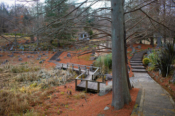 冬の公園遊歩道（並木道）