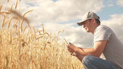 businessman analyzing grain harvest. farmer working with tablet computer on wheat field....