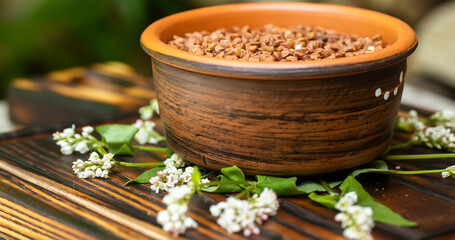 buckwheat in clay plate on table. Fresh buckwheat flowers. Healthy Food Concept