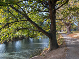 Avon River in Hagley Park, Christchurch, New Zealand