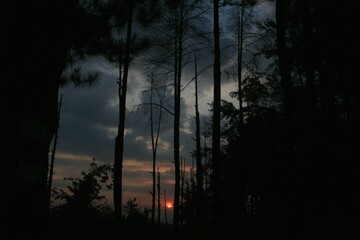 Naklejka premium Wonderful sunrise and silhouette tree in the forest