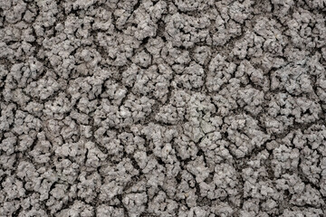 Close up of Dried Desert Crumbles