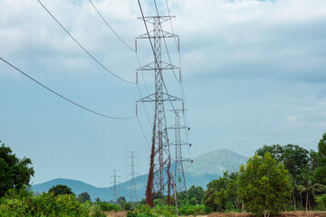 Obraz premium Electricity transmission line with green tree nature, Green conservative energy, Energy be friendly with environment concept, Power distribution pylon system to rural community and countryside