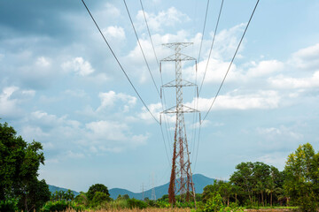 Electricity transmission line with green tree nature, Green conservative energy, Energy be friendly...