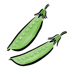 サヤエンドウ　筆　イラスト　水彩　手描き
