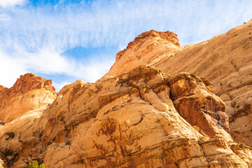 Fototapeta premium Blond sandstone in Capital Reef