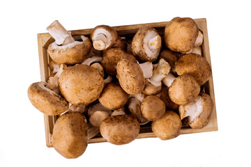 Fresh whole mushrooms isolated on white background.