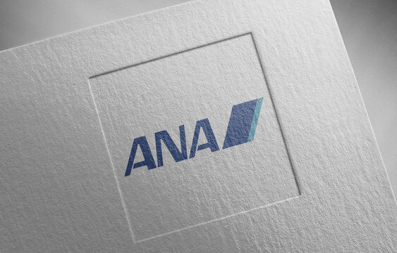 ana-1 on paper texture