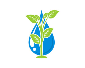 Planting tree with water droplet