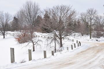 snow covered road