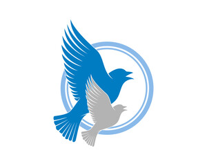Fototapeta premium Flying bird with a son inside to blue circle