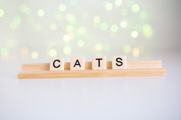 the word cats spelled out in scrabble tiles against a white background and fairy lights