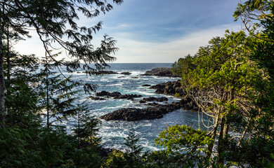 Waves crash in the rocks where the Pacific Ocean meets the temperate rainforest on the West coast of Vancouver Island.
