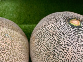 Close up view of melon fruits in the market