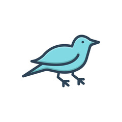 Color illustration icon for bird