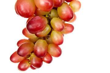 Trauben rot grün orange Frucht Obst freigestellt 