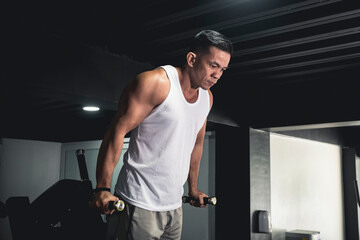 A fit asian male doing tricep dips on the dip station. Working out triceps and arms at the gym.