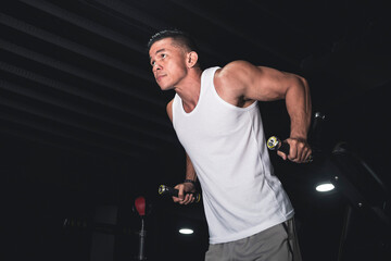 A buff asian man in a white tank top begins to do some tricep dips on the dip station. Working out triceps and arms at the gym. - obrazy, fototapety, plakaty