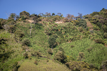 joshua tree national park state