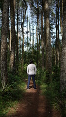 tourists are in the middle of a pine forest and enjoy the trip.