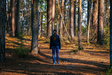 Looking Through the Forest