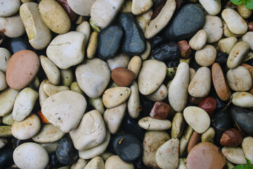 Natural rock in the garden
