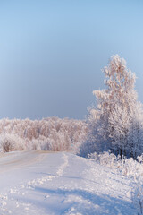 Winter road under snow. Frozen birch trees covered with hoarfrost and snow.