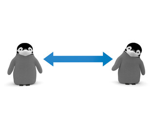 距離を保つペンギン