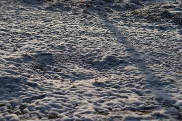 Snow covered field lit by the sun
