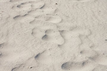 waves in the sand