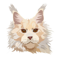 Maine Coon cat vector illustration. Portrait