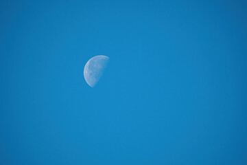 half moon on the clear blue sky in a sunny morning 
