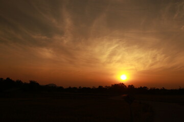 Golden light and silhouette in the morning
