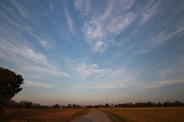 Fototapeta premium Golden light and clouds sky in the morning