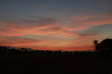Golden light and silhouette in the morning