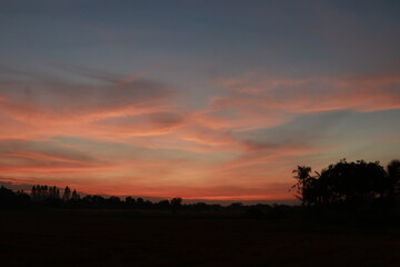 Golden light and silhouette in the morning