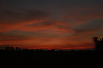 Obraz premium Golden light and silhouette in the morning